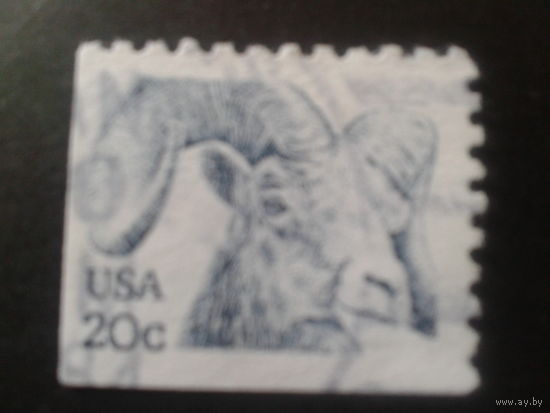 США 1982 стандарт, козел