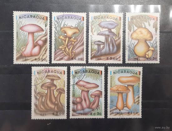Никарагуа. 1985 год. Флора. Грибы (93)