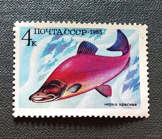 Марка СССР 1983 год Рыба