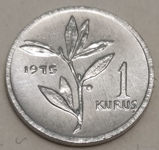 Турция 1 куруш, 1975 (1-7-101)