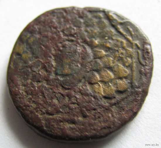 Тетрахалк Пондийское цартсво.