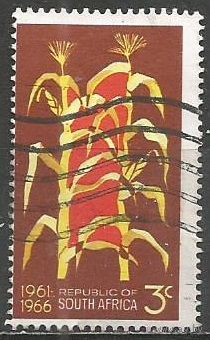 Южная Африка(Республика). 5 лет Республики. Маис. 1966г. Mi#352.
