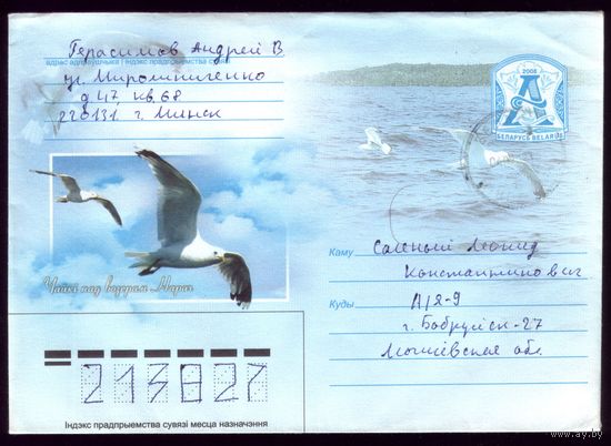2008 год Озеро Нарочь Чайки