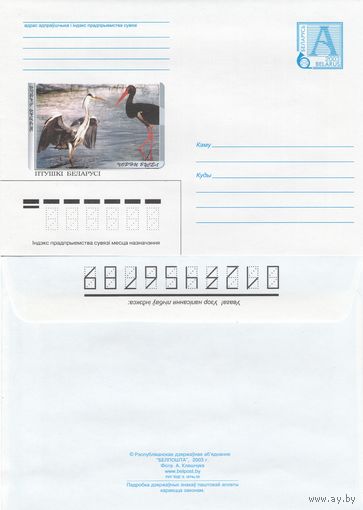 Беларусь 2003 Птицы Беларуси. Серая цапля. Черный аист (к4)