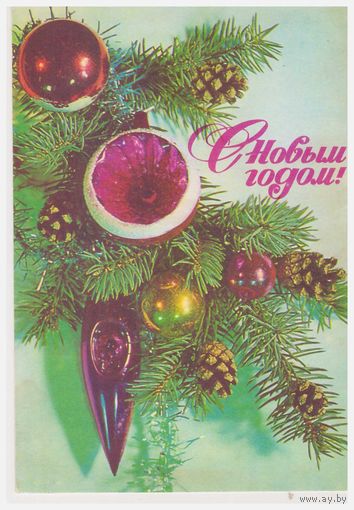 Почтовая карточка 1976  Худ.И. Дергилев
