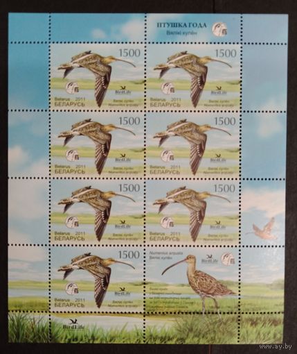 Марки Беларуси 2011 года чистый лист Птица года, Большой Кроншнеп, фауна, КМ 875 каталог1,4 евро