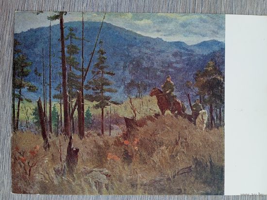 1956. пограничники. Бубнов. Конный пограничный дозор
