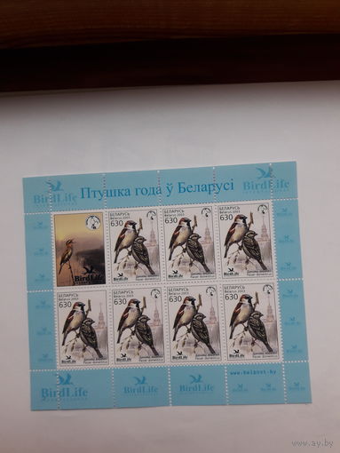 Марки Беларусь 2003 Птицы