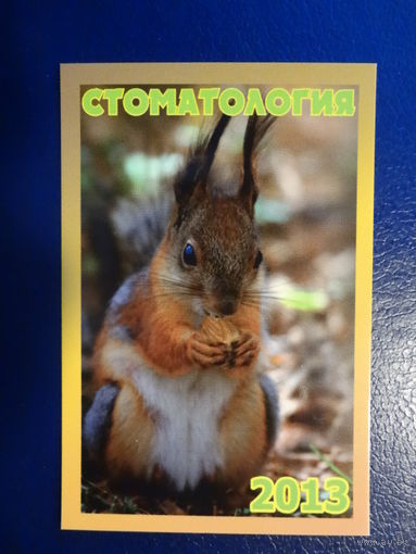 Календарик 2013 г.  Стоматология.