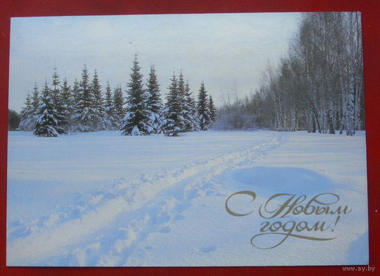 С новым годом! Чистая. 1986 года. Фото Самсоненко. 1339.