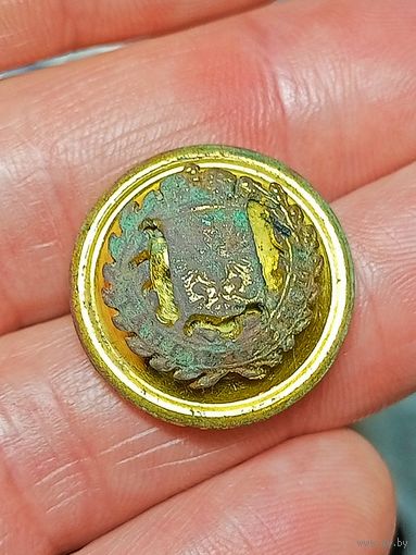 Пуговица,Таврическая губерния,в позолоте