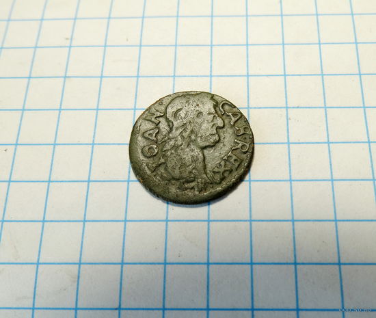 Боратинка 1664