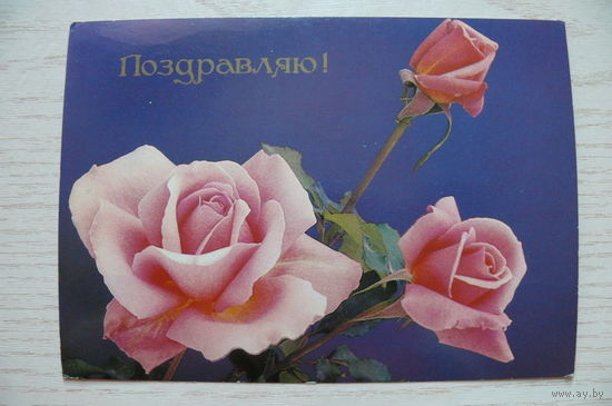 Френкель О., Поздравляю! 1986, 1987, подписана.