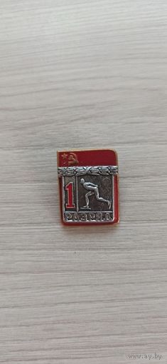 1 разряд конькобежный спорт с клеймом СФС