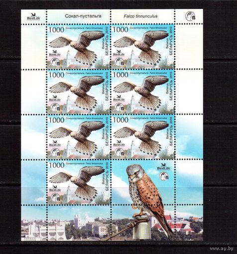 Беларусь-2010,(Мих.798) м/л Сокол