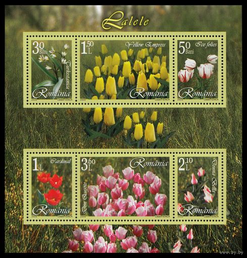 Румыния 2006 ** Флора Цветы Михель BL373 6.5 ЕВРО MNH