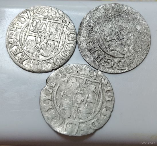 3 полторака 1621, 1623, 1624