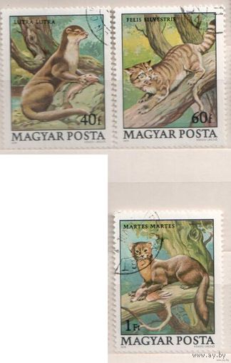 Звери. 3 марки, 1979г.,гаш. Венгрия.