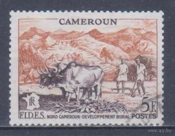[1445] Французские колонии. Камерун 1956. Работа в поле.Скот. Гашеная марка.