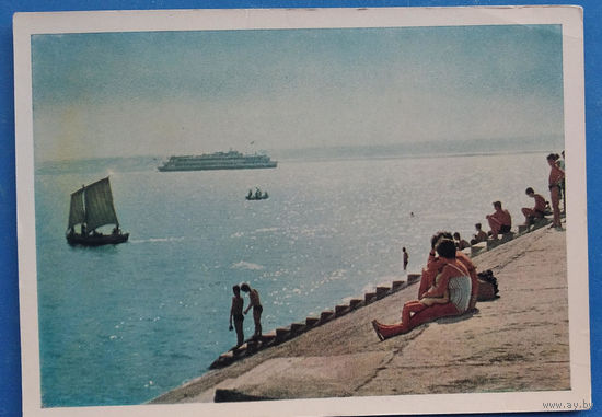 Сакк В. Кто предпочитает". 1964 г. Чистая.