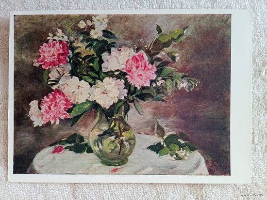 Яковлева. Пионы