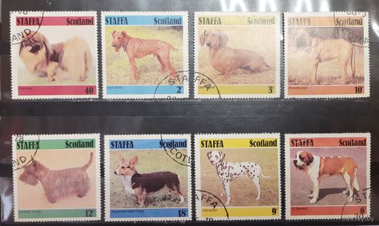 Стаффа. Шотландия. Фауна. Собаки (1232)