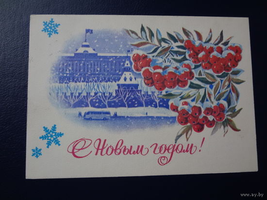 С Новым годом!  1981 г.  Вид Москвы, рябина.  подписанная.