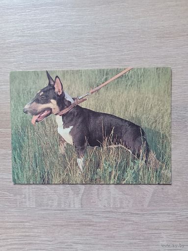 Календарик 1993