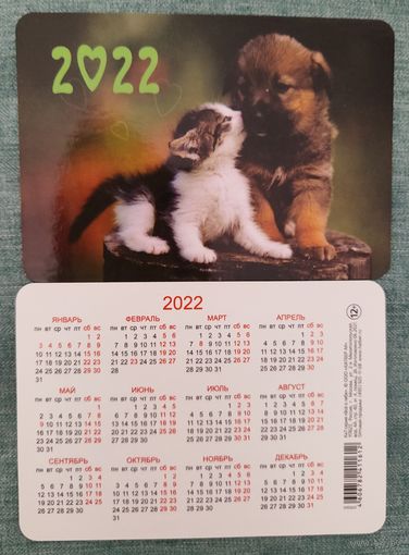 Карманный календарик щенок и котёнок 2022г