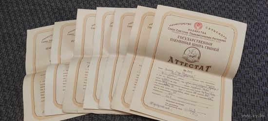 Государственная племенная книга свиней. Племенной аттестат 1956 год.