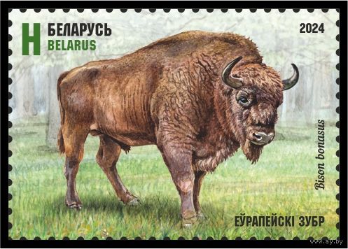 2024г Беларусь MNH  "Европейский зубр"