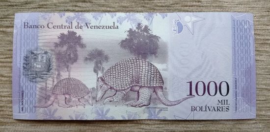 Werty71 Венесуэла 1000 боливаров 2017 UNC банкнота