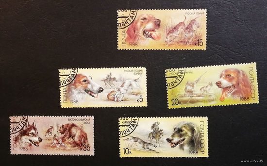 СССР 1988 г. Породы охотничьих собак. Фауна, полная серия из 5 марок #0221-Ф1P43