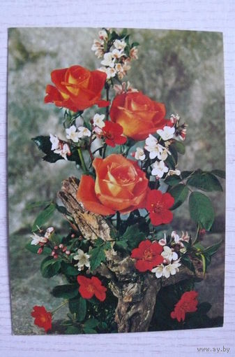 Цветы, розы; подписана, Германия, п/п 1983, марки.