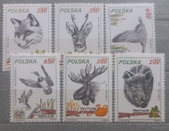 Польша. 1981г. Охота.