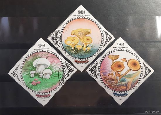 Монголия. 1985 год. Флора. Грибы (95)