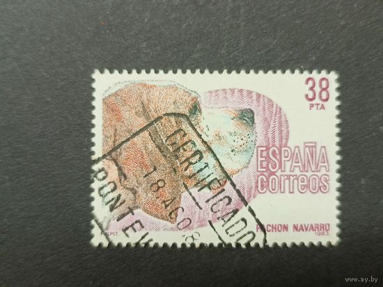 Испания 1983. Собаки