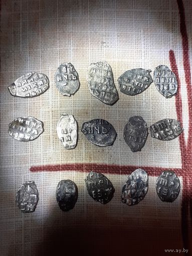 Чешуйки 15 шт.