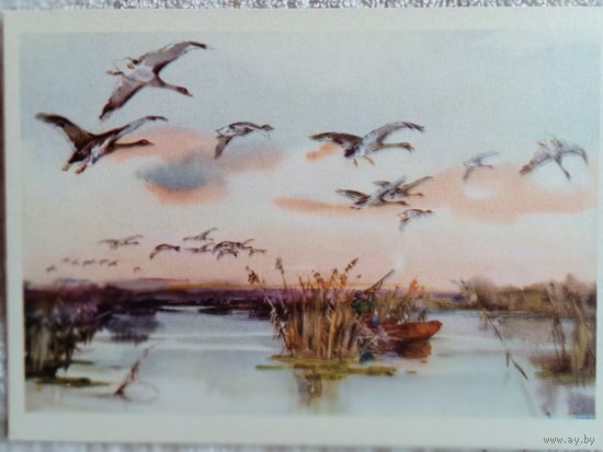 Строганава. Утренняя зорька