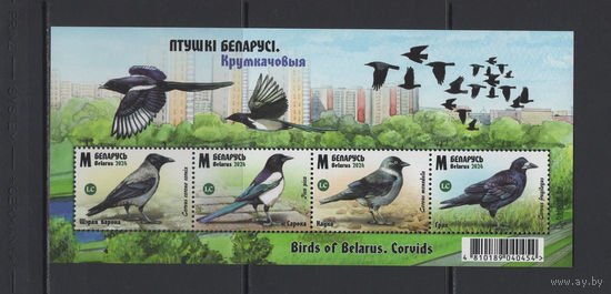 Фауна птицы Беларусь 2024 Малый лист "Птицы Беларуси Врановые"