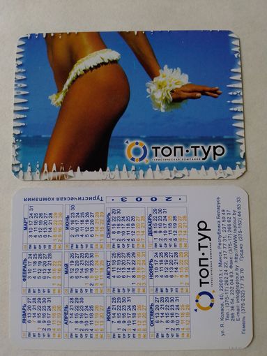 Карманный календарик. Топ-тур. 2003 год