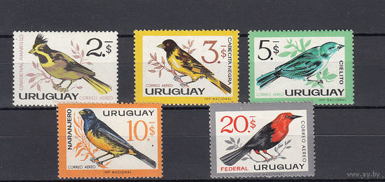 Фауна. Птицы. Уругвай. 1962. 5 марок. Michel N 948-952 (36,0 е)