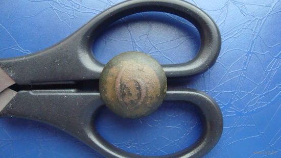 Пуговица 6                                                                                                                                        (5170)