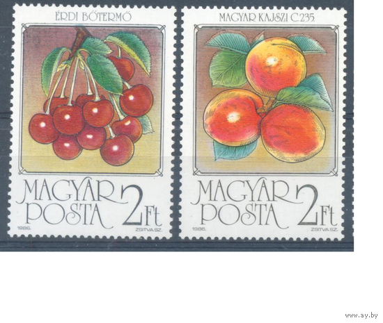 Венгрия, 1986, флора, растения, плоды, фрукты (**)