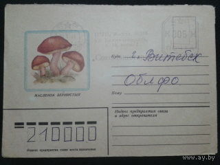 1982 маслята прошло почту