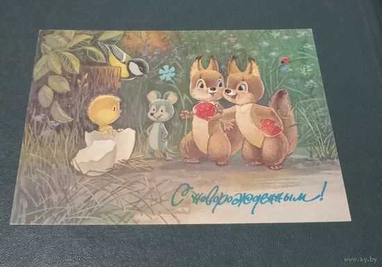 Открытка "С новорожденным!" худ. В. Зарубин 1991г.  чистая