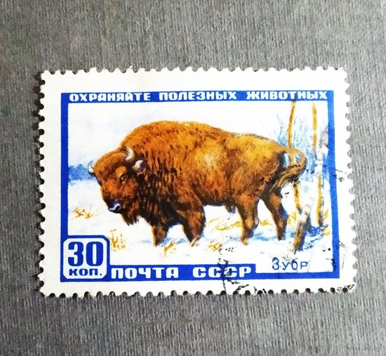 Марка СССР 1957 год Зубр