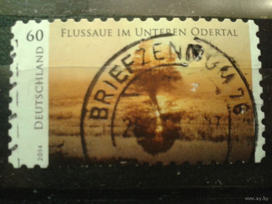 Германия 1914 дерево