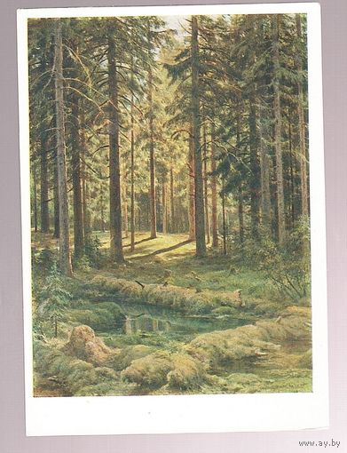 ОТКРЫТКИ. СССР Живопись. И. Шишкин Пейзаж 1963