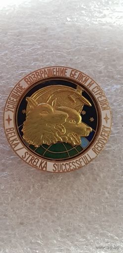 Успешное возвращение белки и стрелки*